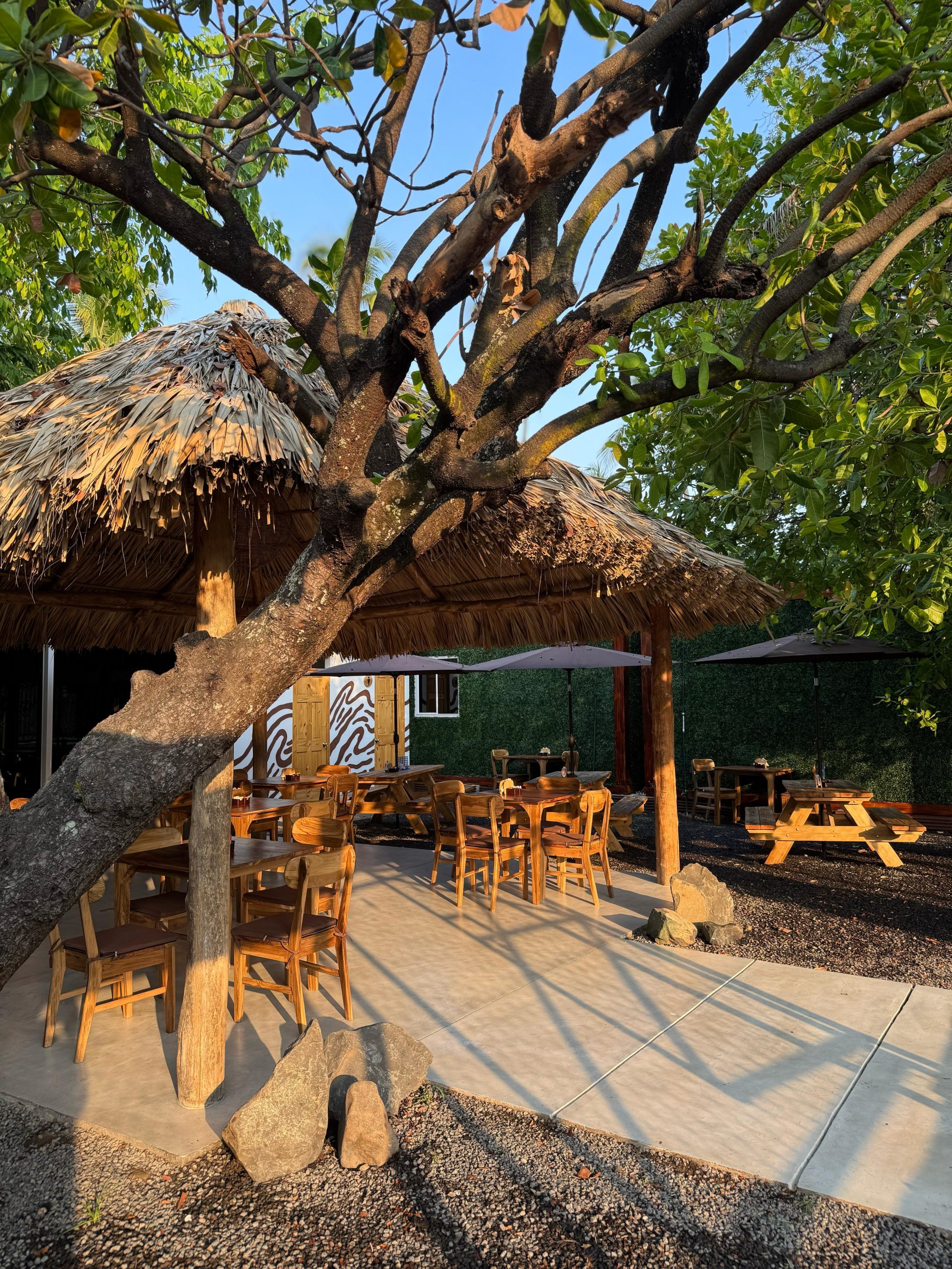 La Palapa
